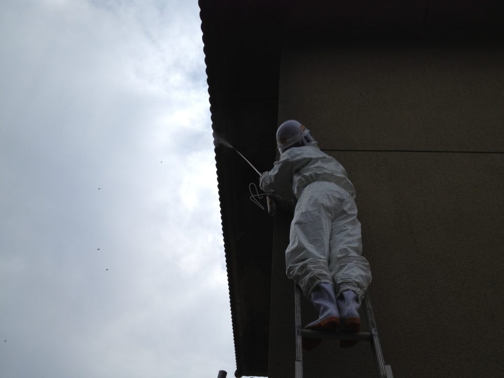 はしごを使ったスズメバチの巣の駆除